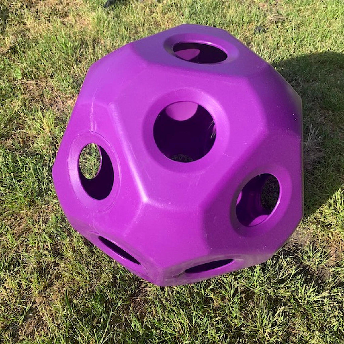 Purple plastic hay ball with flat sides and moderately sized holes throughout.