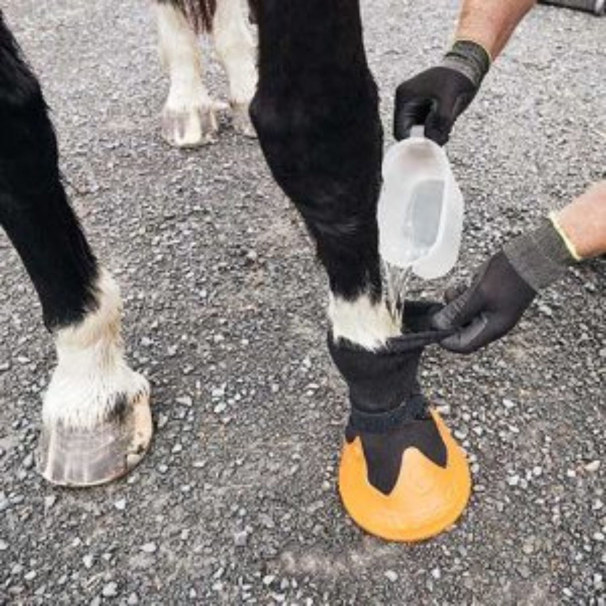 Pouring water into hoof socks