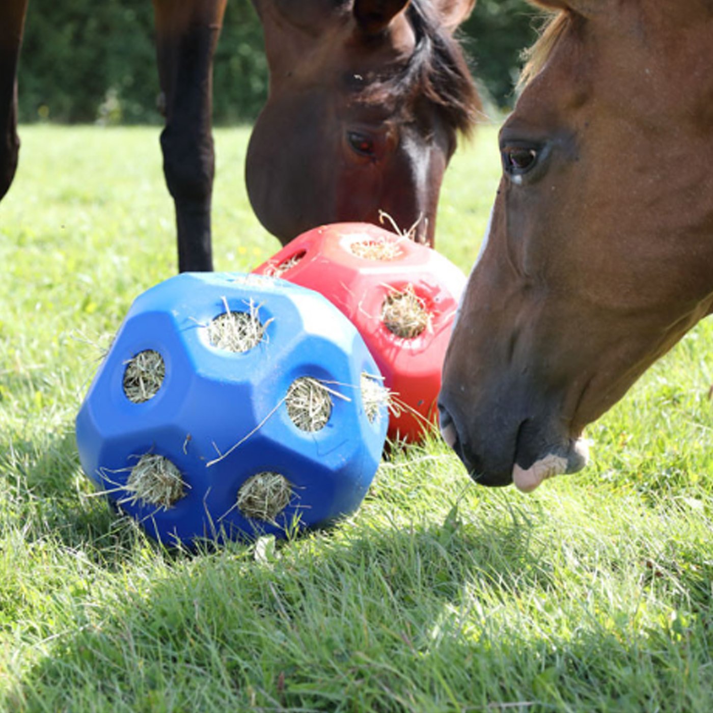 Two horses standing beside hay balls that are filled with hay.