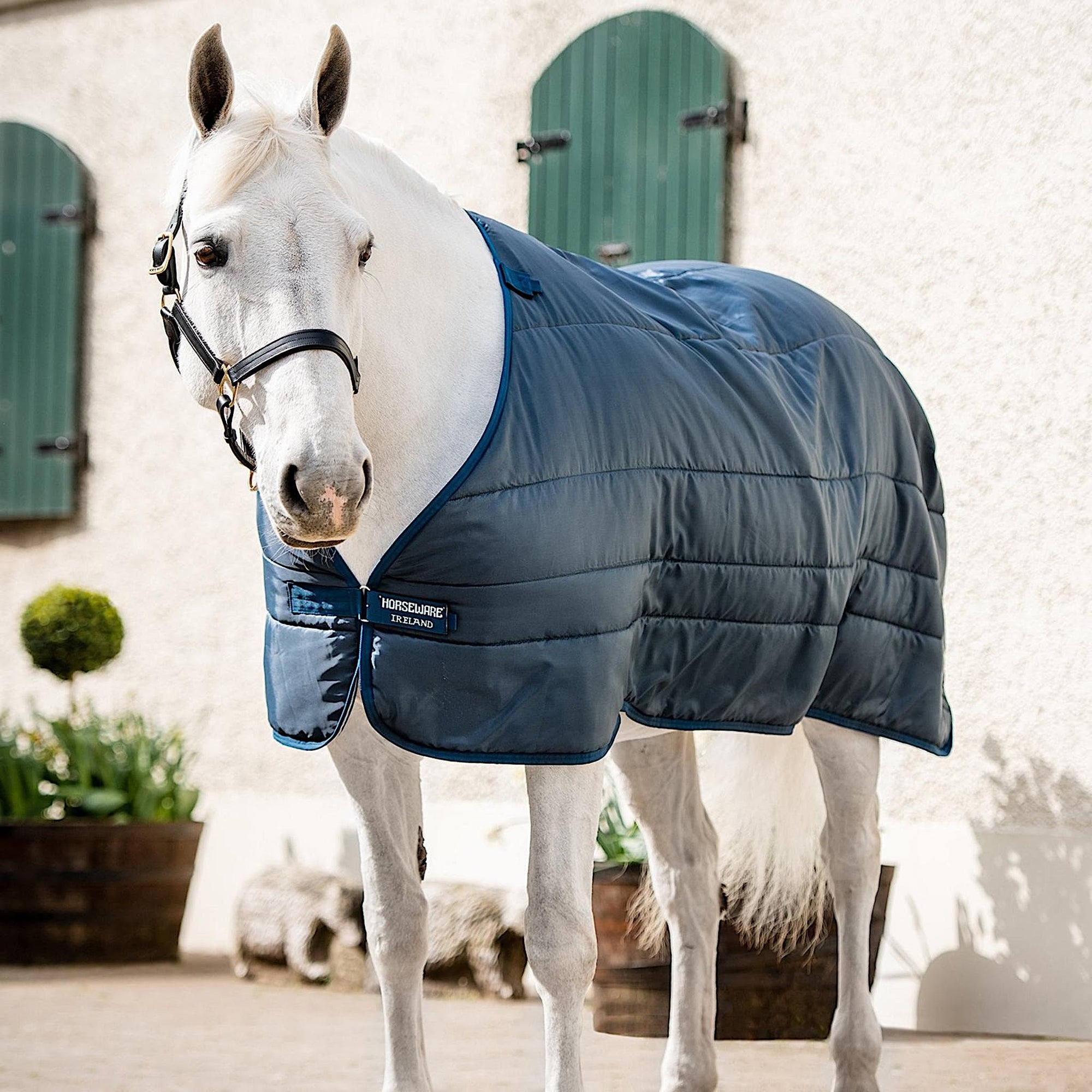 Grey horse wearing a navy liner rug with navy trim. 