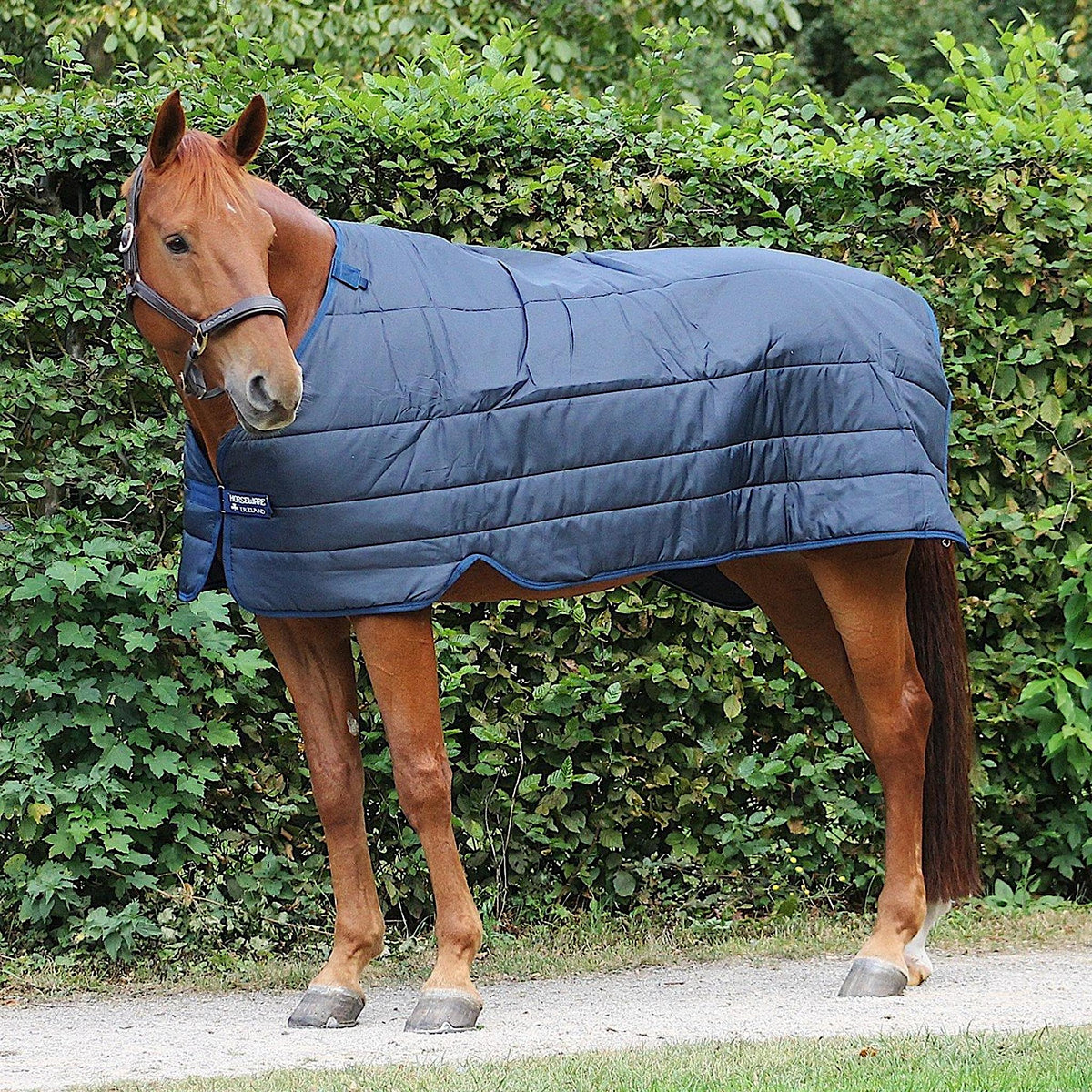 Horse wearing rug liner that is navy in colouring, with navy trim.