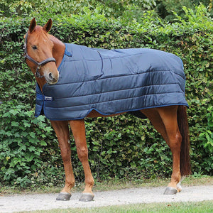 Horseware Liner 300g