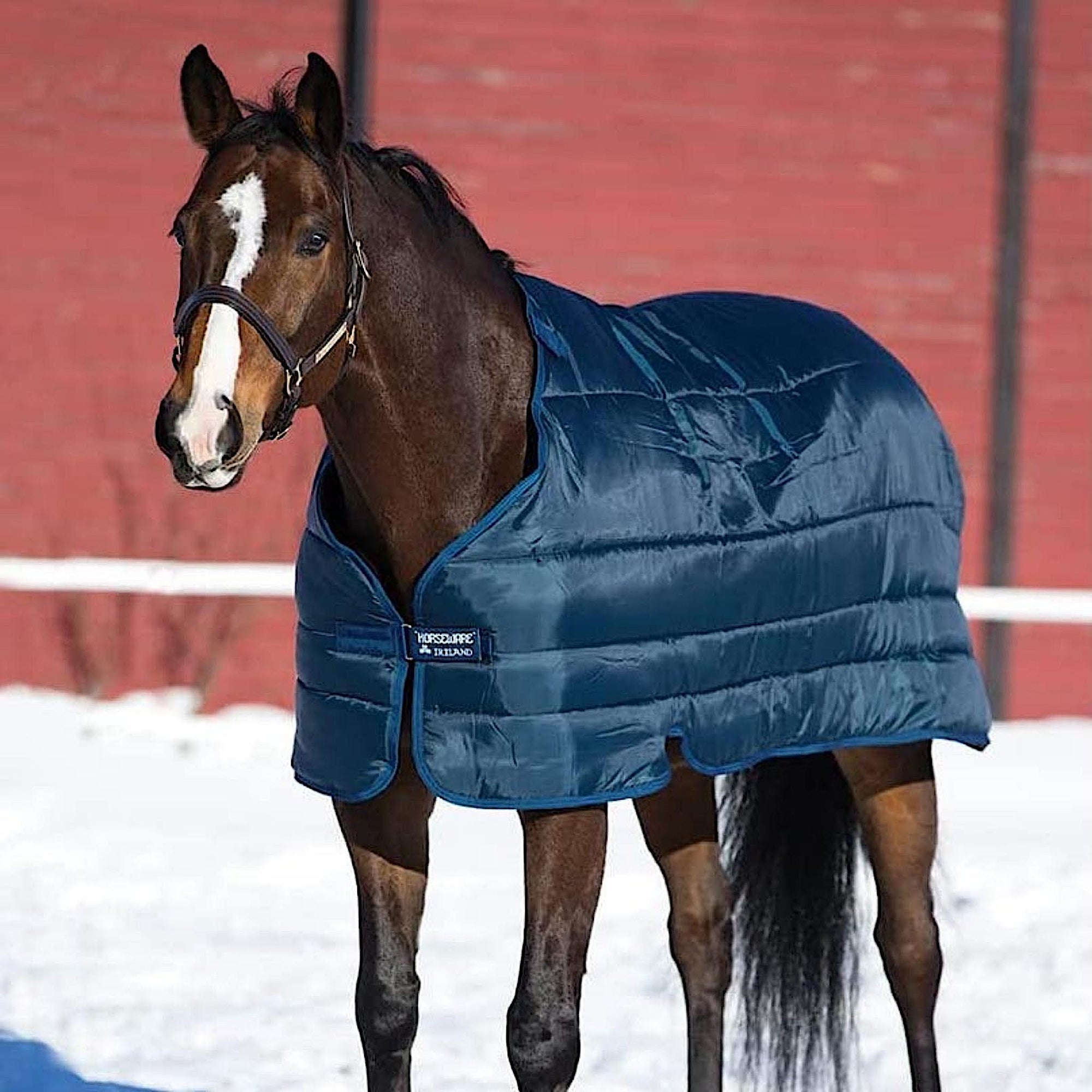 Horse wearing thick winter doona liner