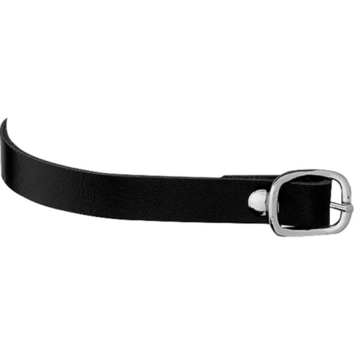 Leather spur straps with silver buckle.