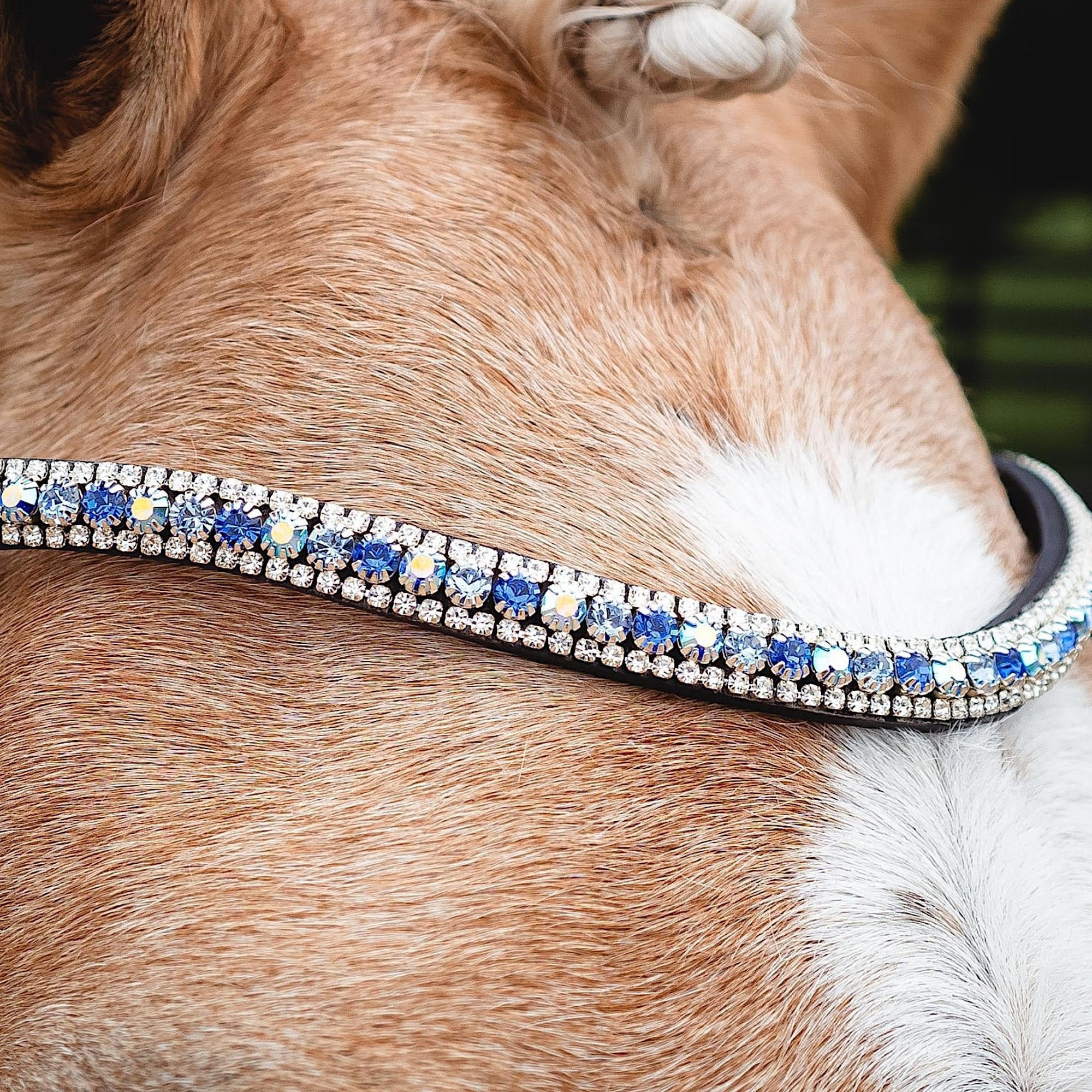 Silver and blue crystals encrusted onto a browband with black leather padding.