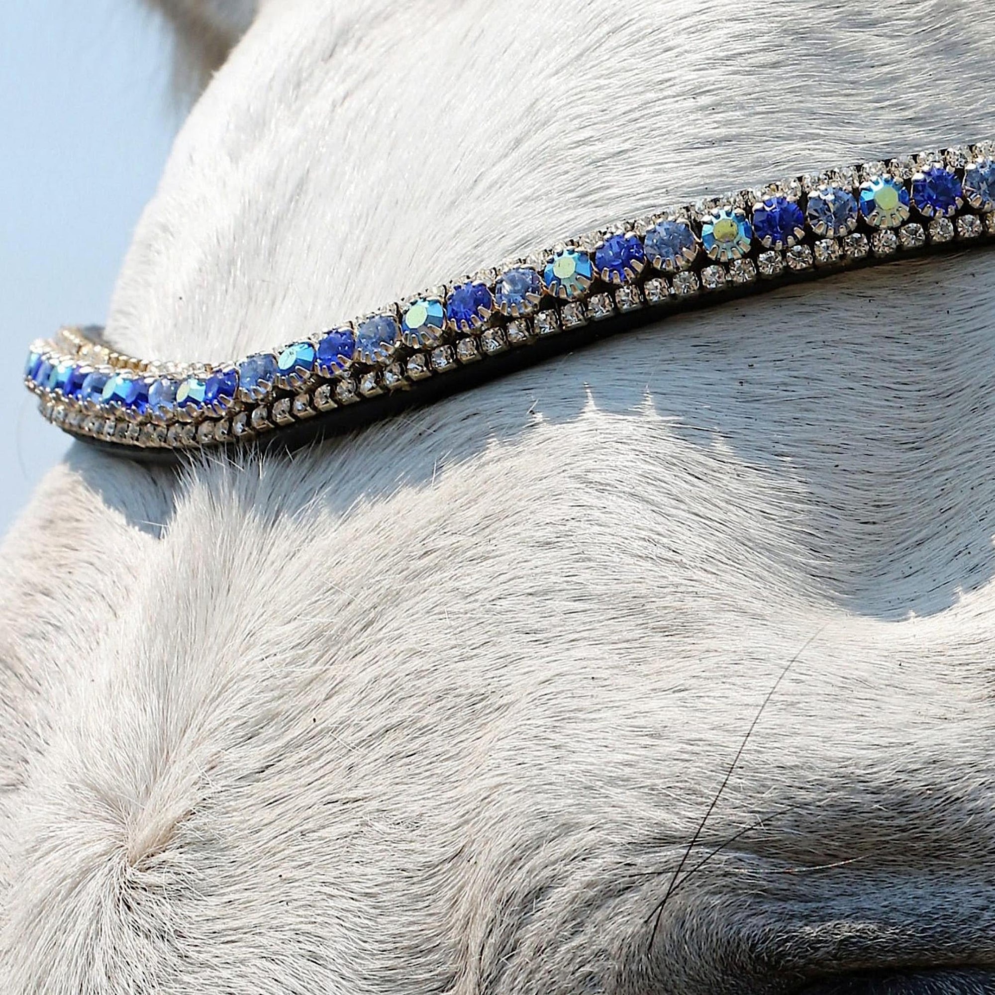 Silver and blue crystals encrusted onto a browband with black leather padding.