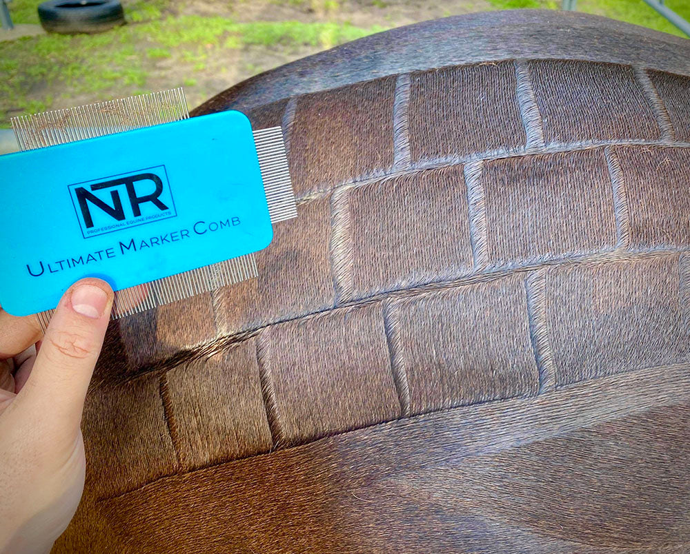 blue plastic comb with metal teeth on four sides