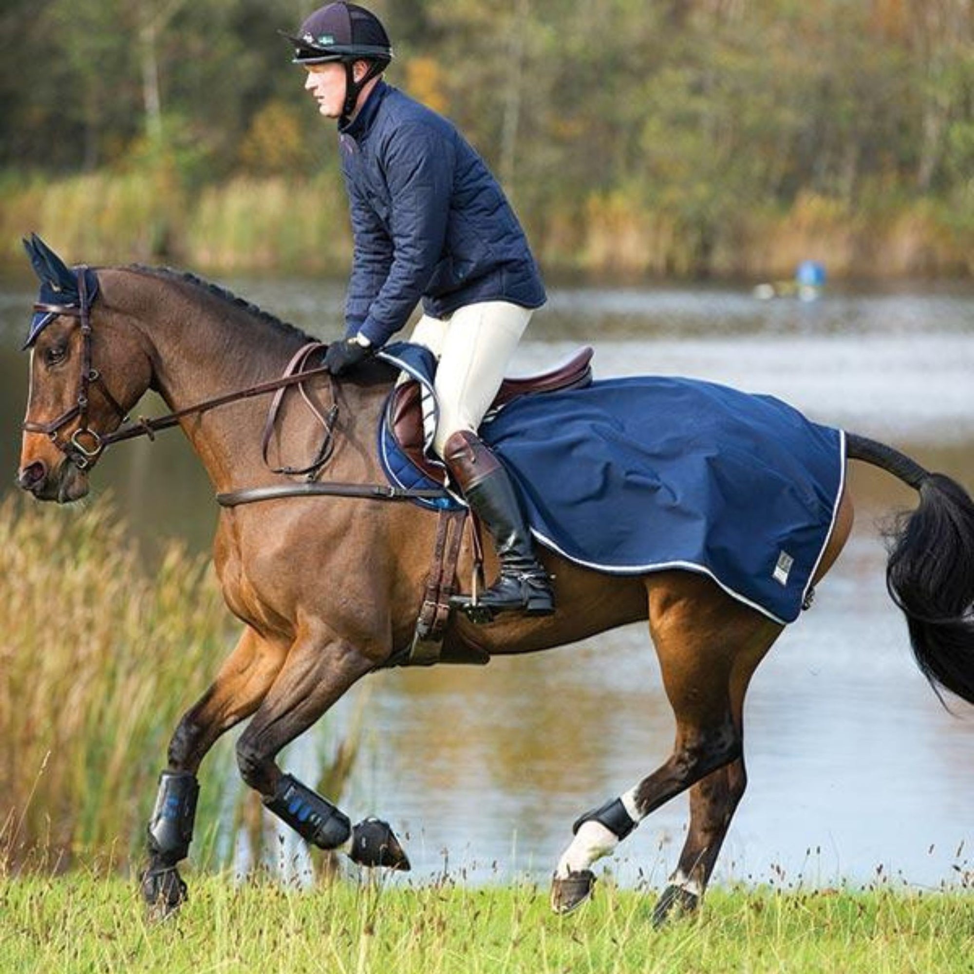 Navy riding rug with beige and white binding on bay horse