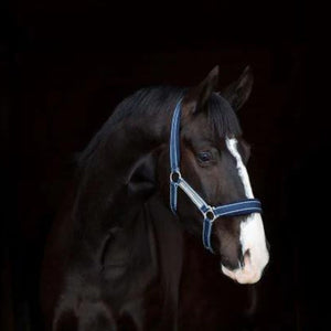 Rambo Padded Headcollar