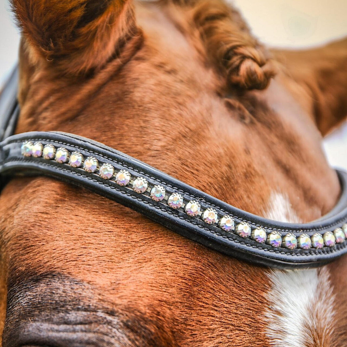 Black patent leather browband with large holographic crystals