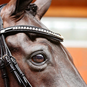 Princess Browband