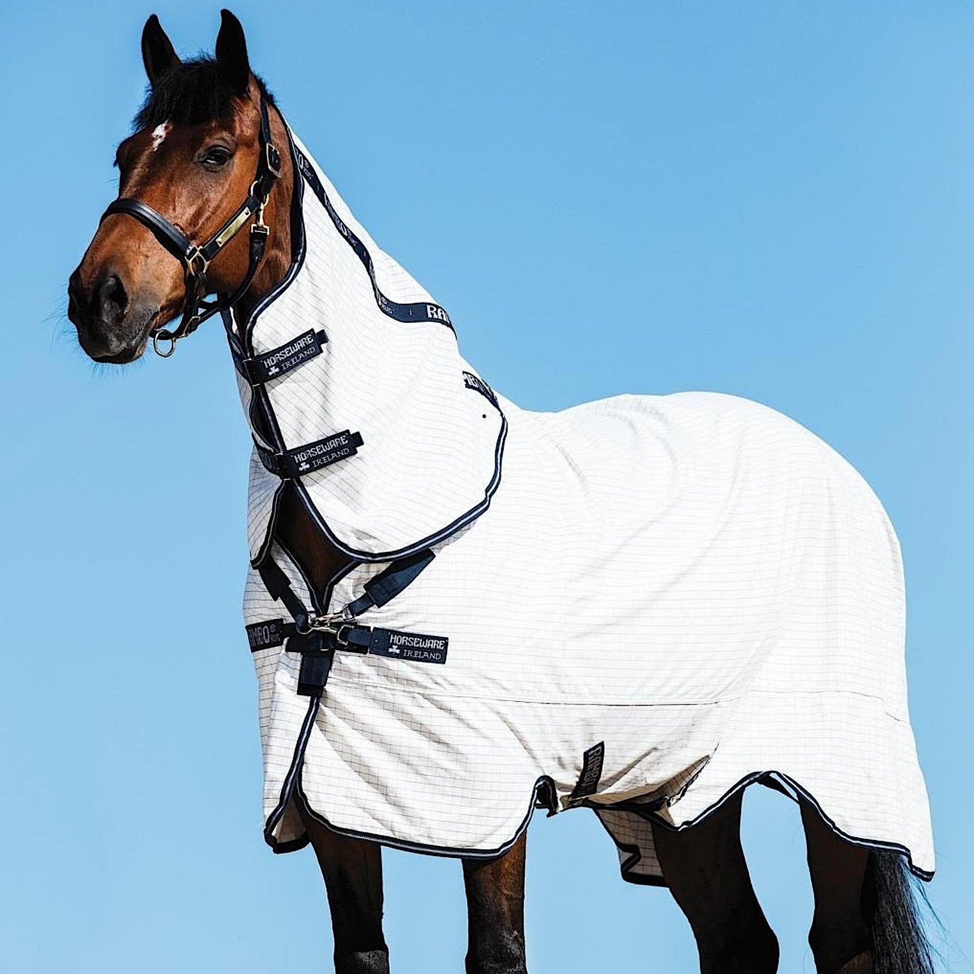 Bay horse wearing white cotton summer rambo with neck.