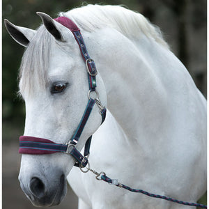 Rambo Padded Headcollar