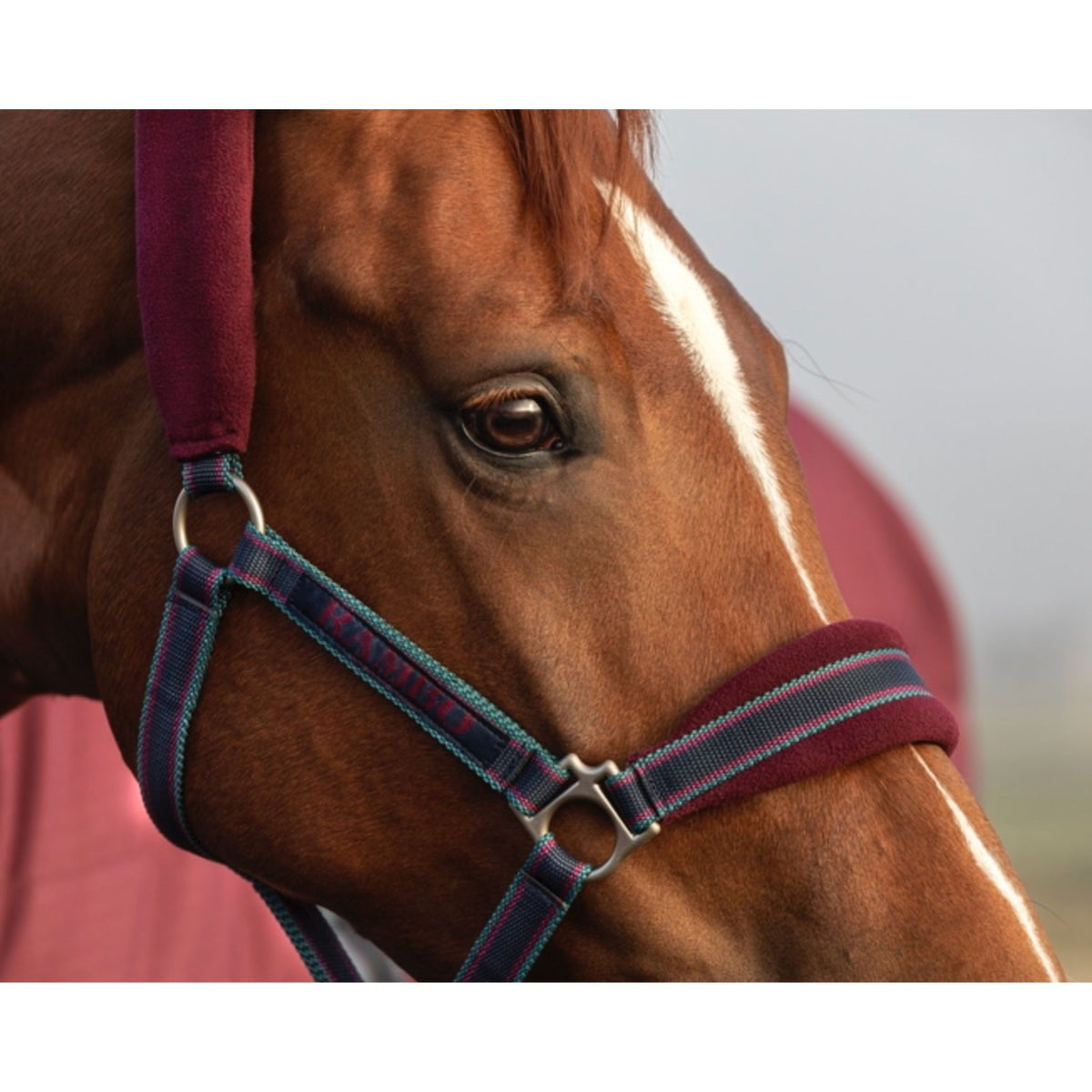 Side view of burgundy and teal halter