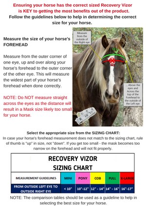 Equivizor Recovery Vizor