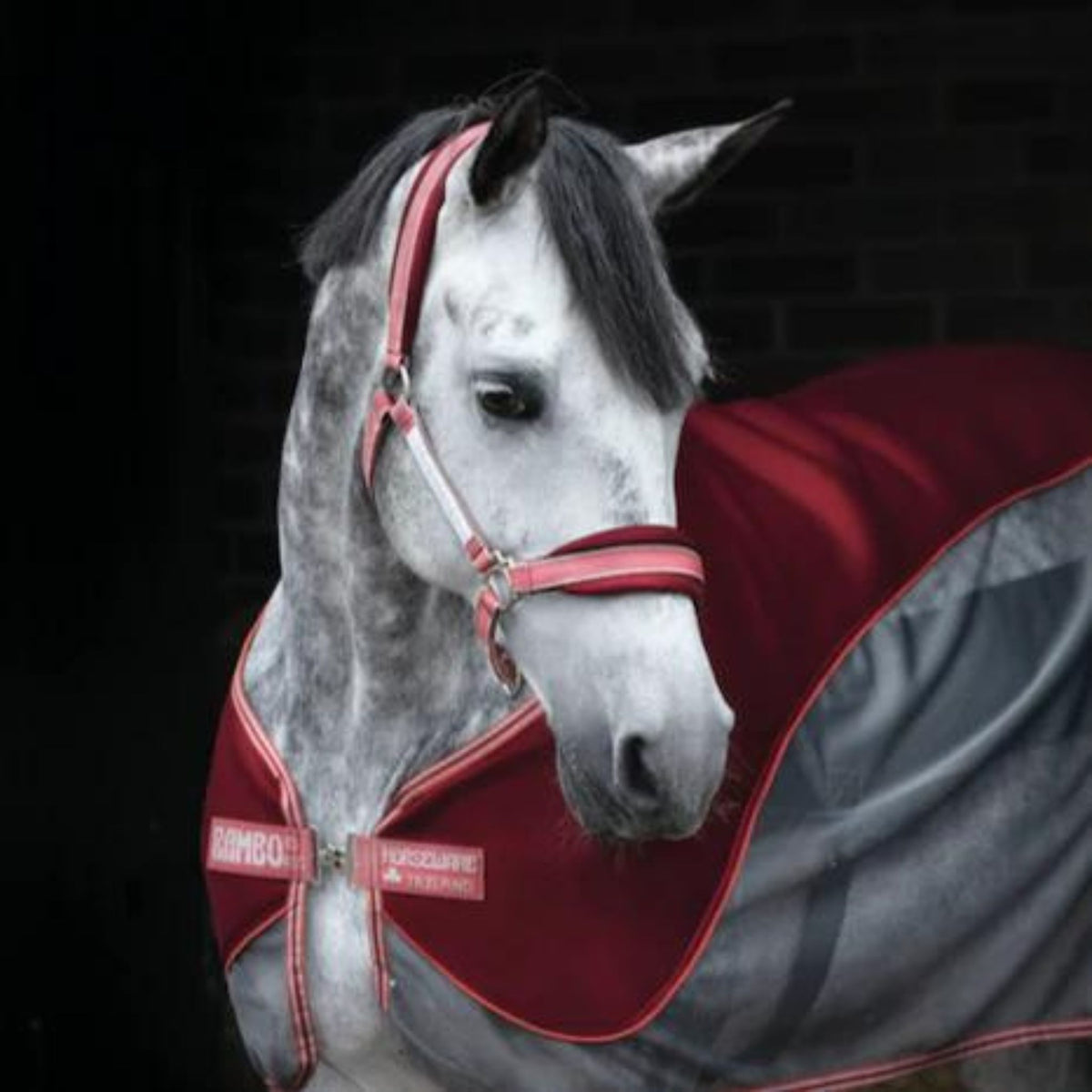 Red airmesh padded halter matched with the red airmesh cooler rug.
