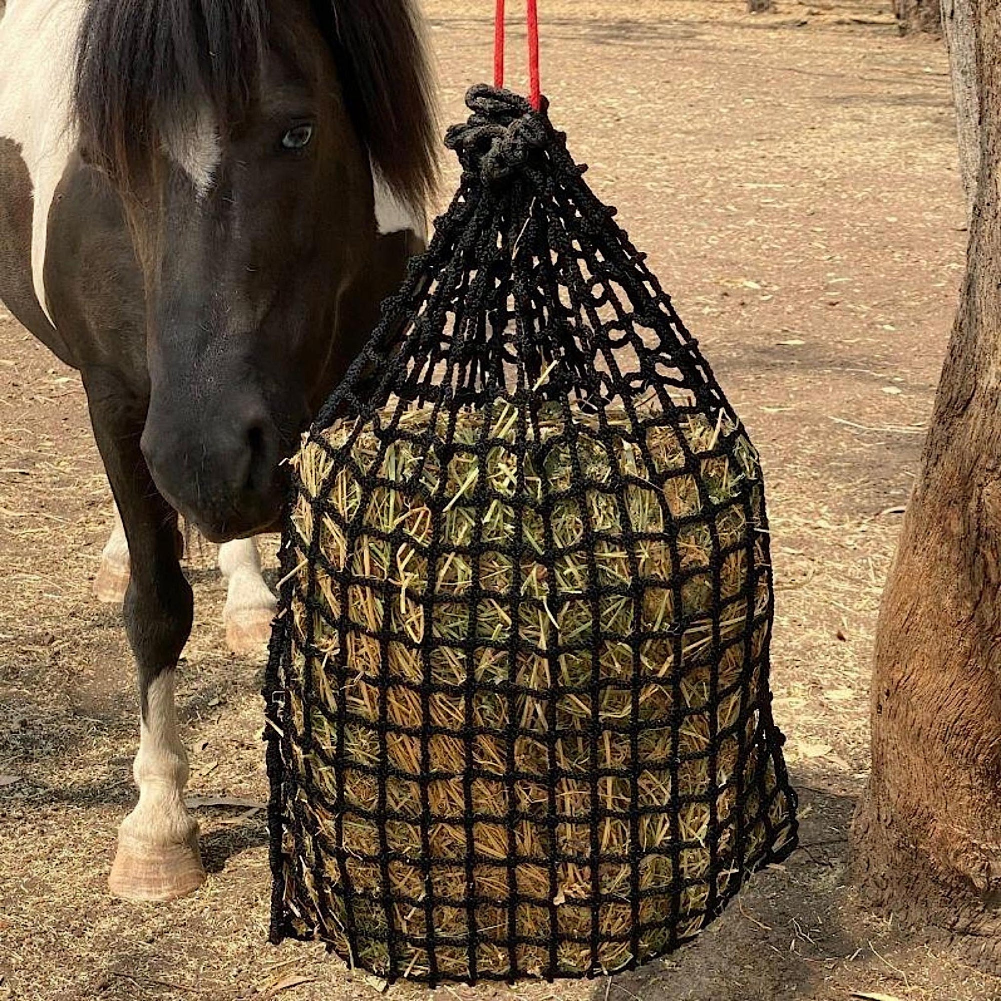 Pony standing next to black slow feed haynet with 2cm holes.