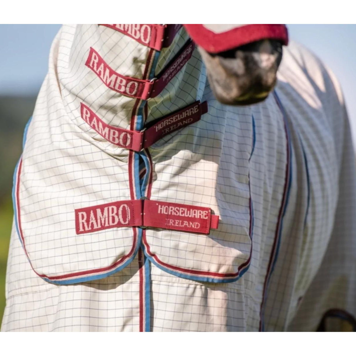 Rambo Optimo Summer Sheet
