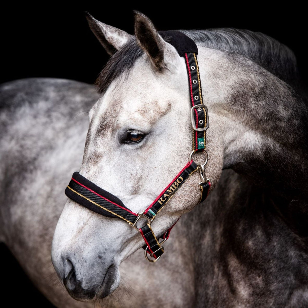Black fleece padded halter with red and gold stripes