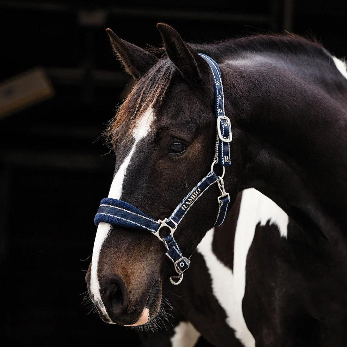 Navy fleece padded halter with light blue and cream stripes