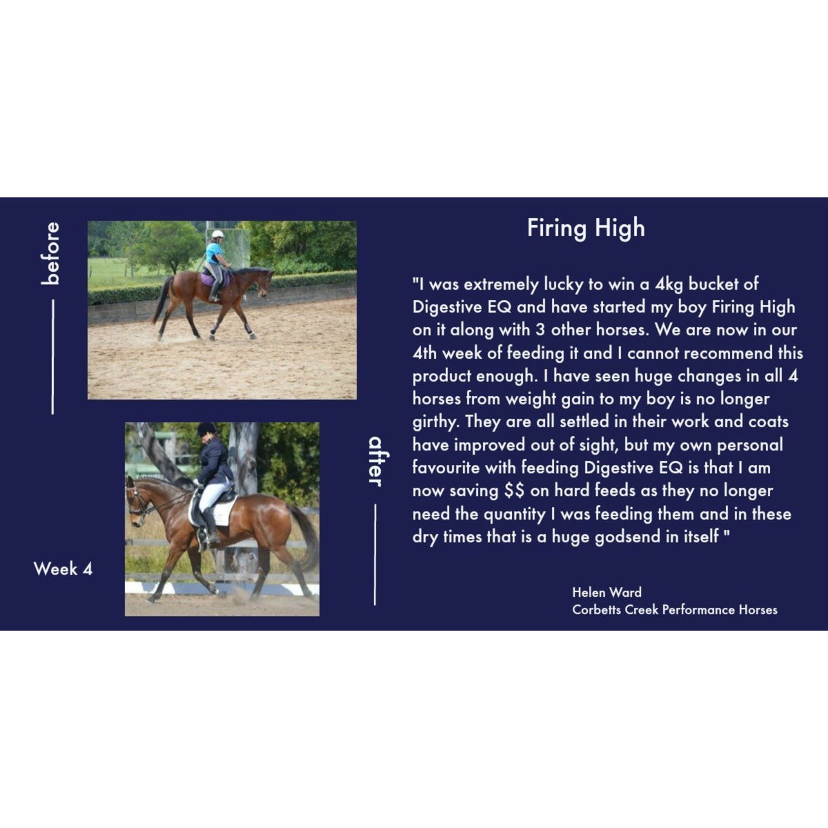 Testimony of a horse on Digestive EQ with quote and images.