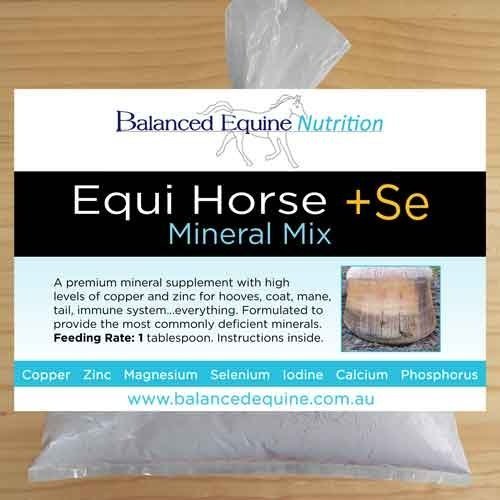 Equi Horse + SE (previously Hoof Rescue + SE)