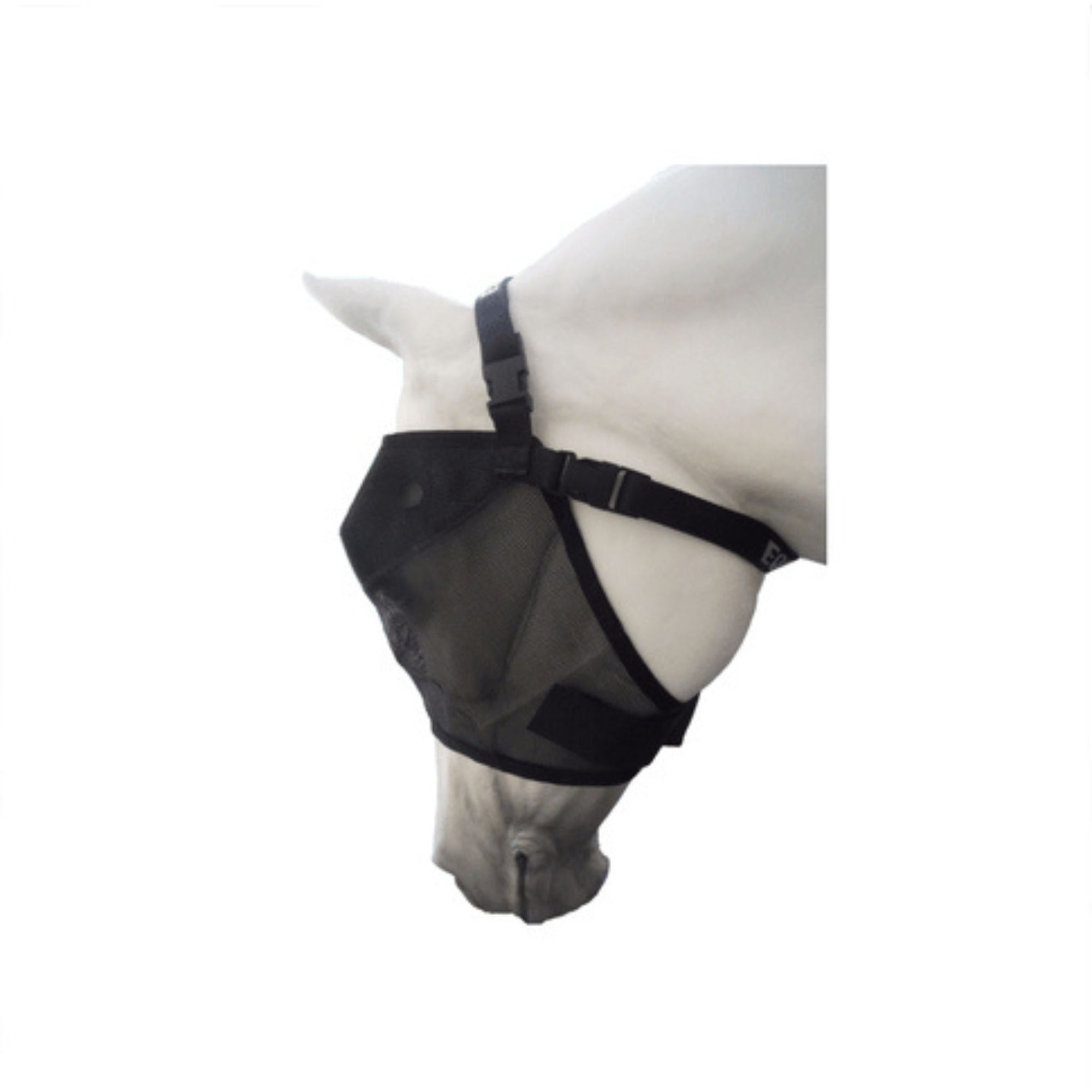 Horse model wearing black fly veil with no nose flap or ears.