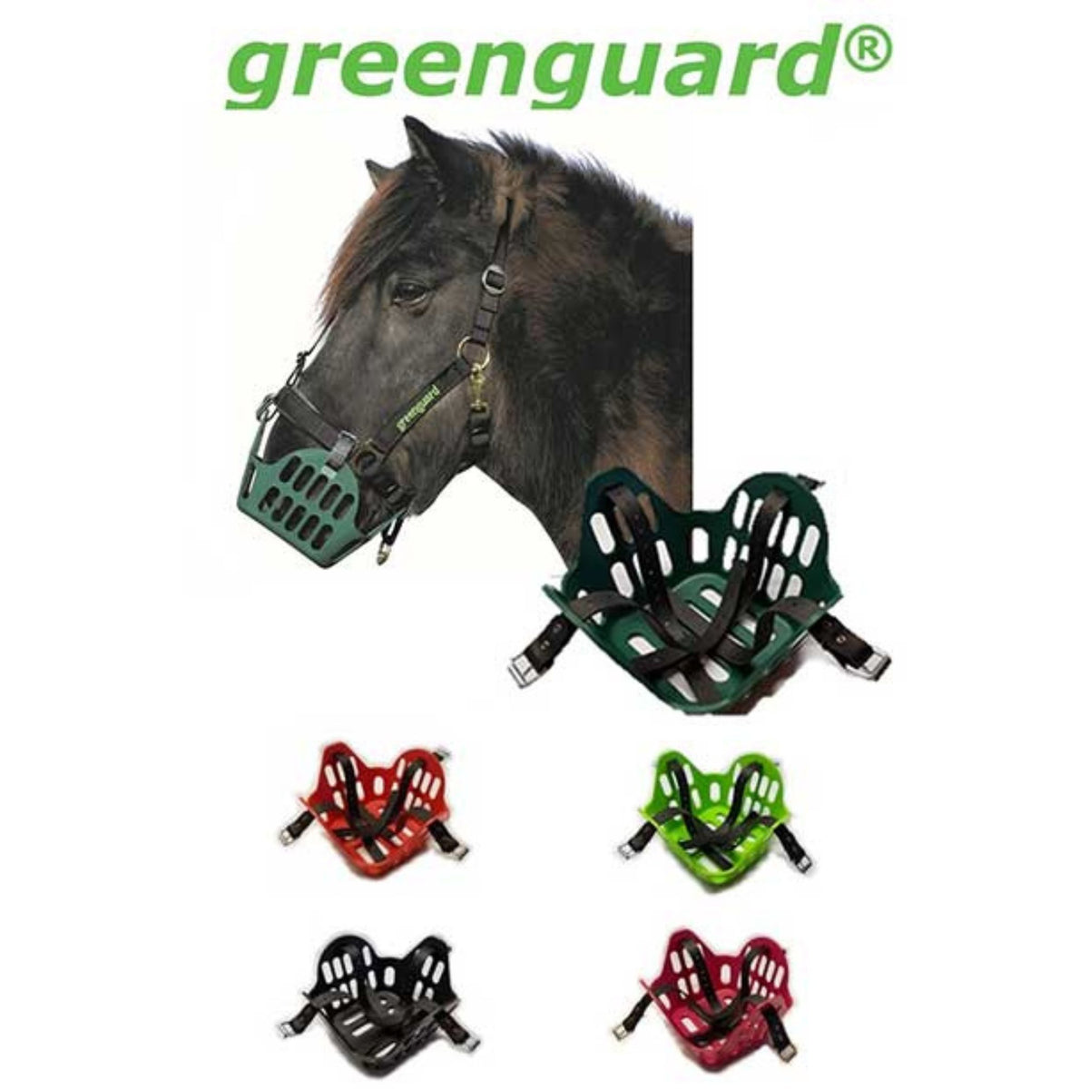 Shetland pony wearing Greenguard muzzle with others shown below.