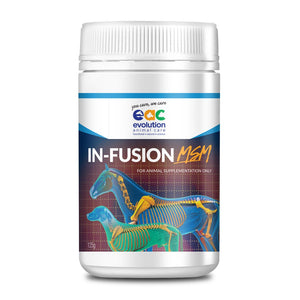 In-Fusion MSM