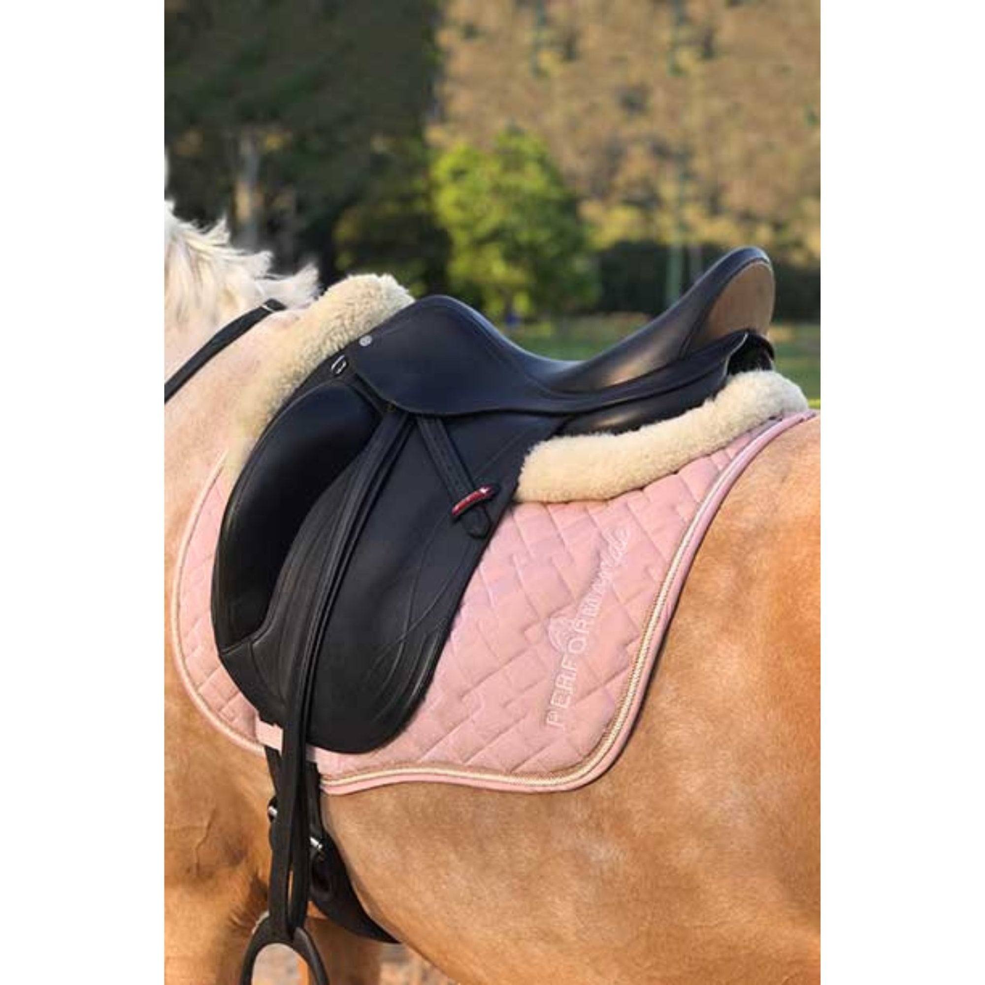 Bay horse wearing black saddle pad with silver glitter and white trim.