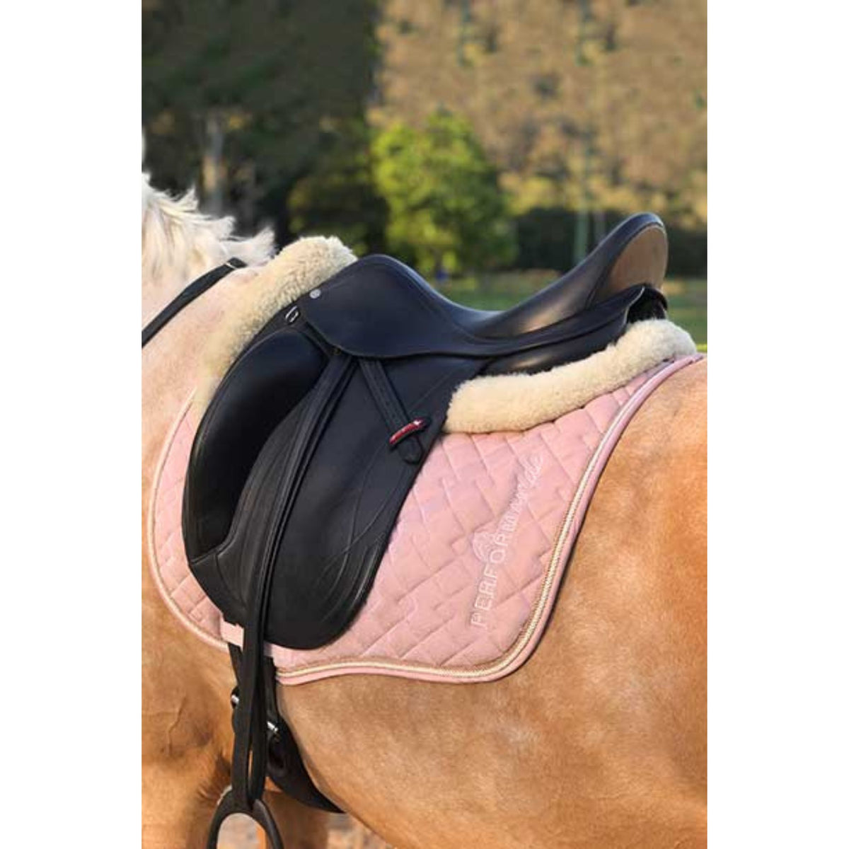 Palomino horse wearing pink glitter dressage saddle pad, with white trim.