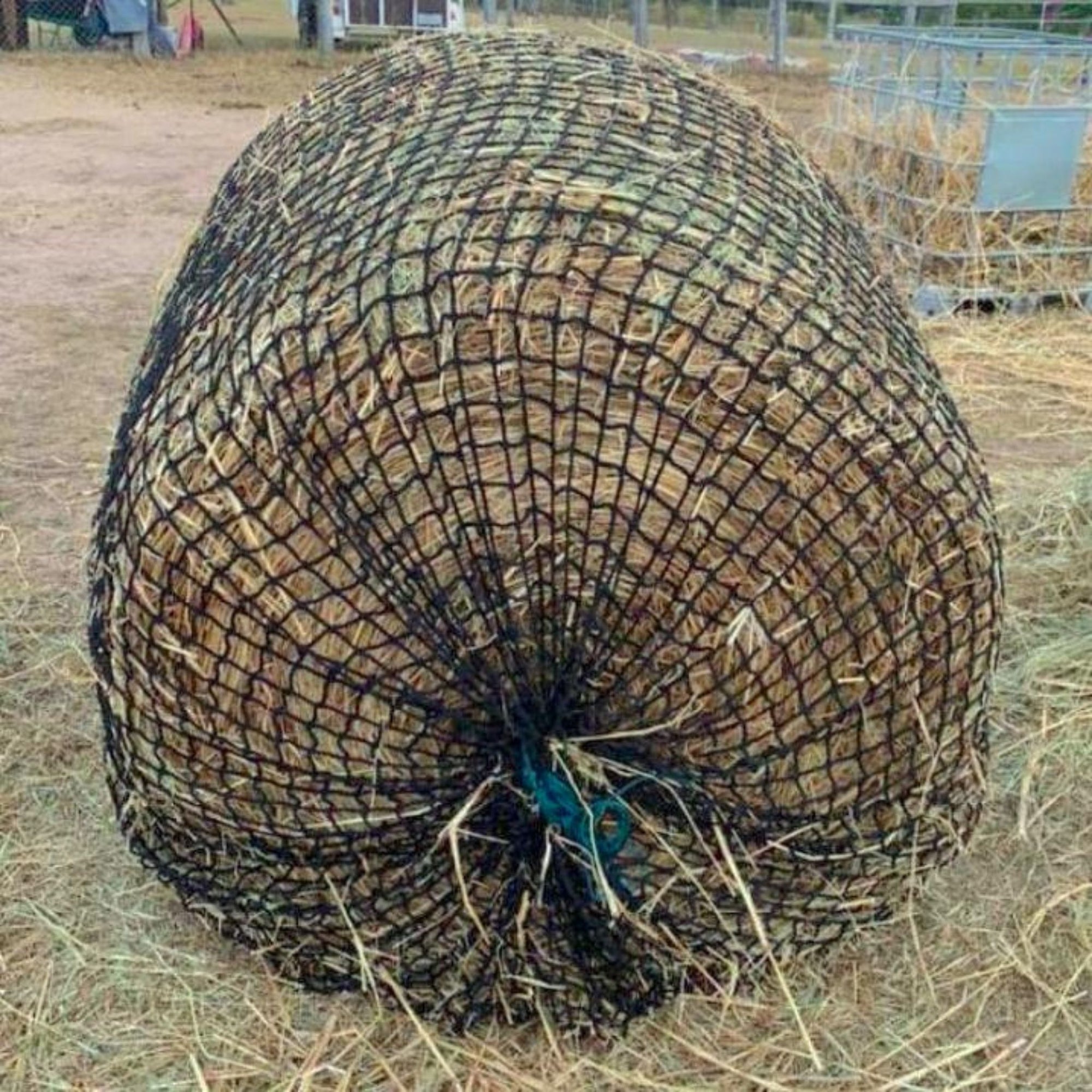 Two horses eating hay out of the round bale hay net